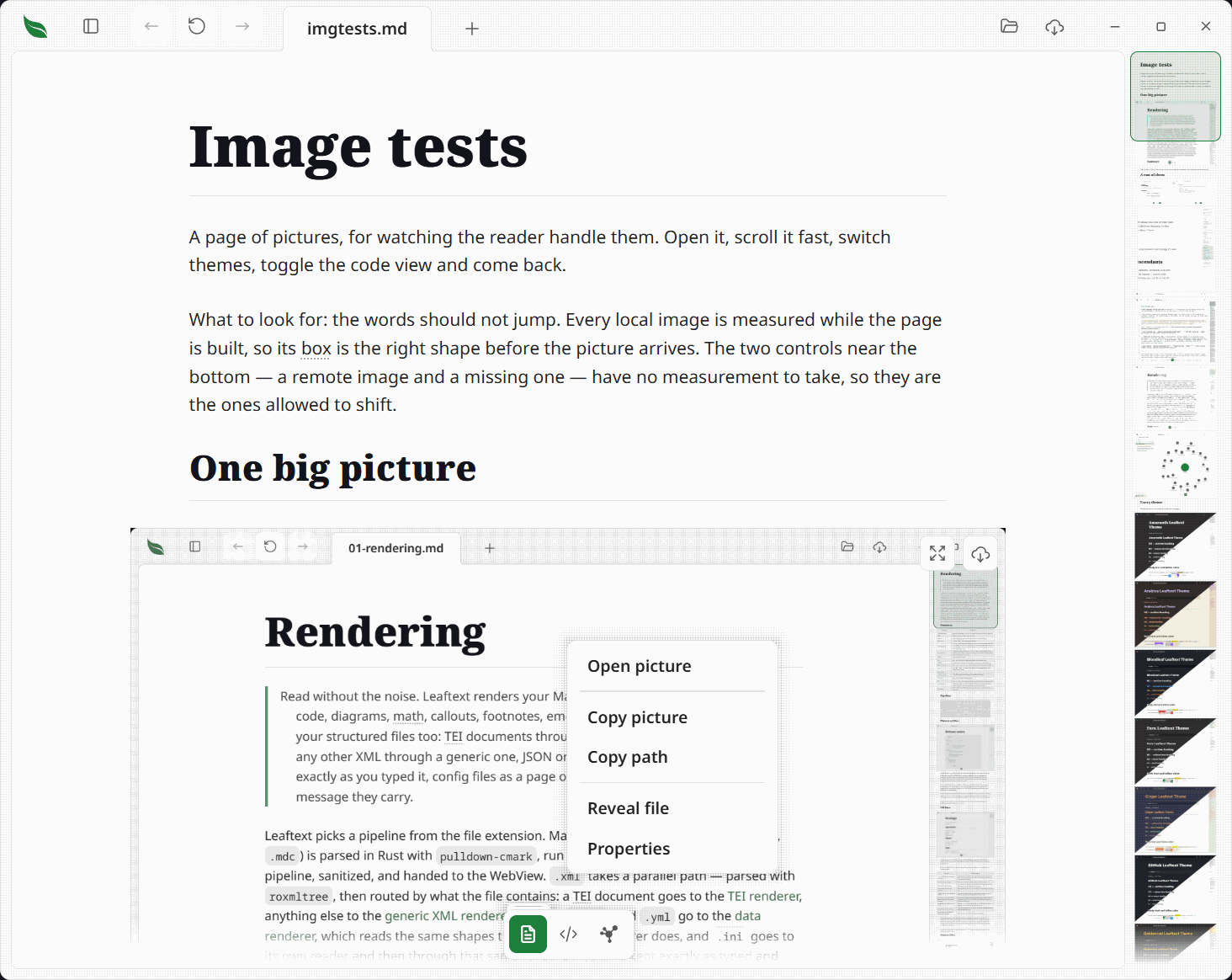 The right-click menu open over a picture in a document: Open picture, then Copy picture and Copy path, then Reveal file and Properties